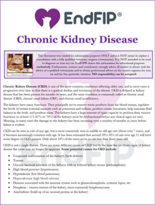 Chronic-Kidney-Disease-th