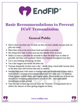 fcov-prevention-general-public-th