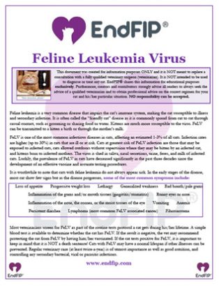 feline-leukemia-virus-th