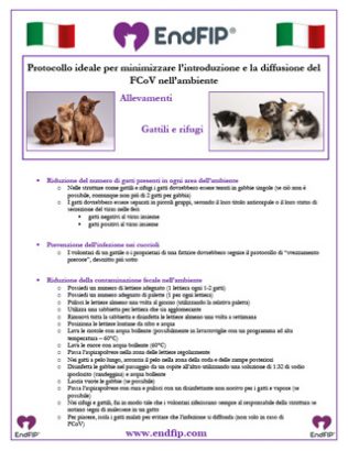 minimize-fcov-catteries-shelters-italian-th